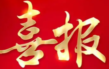 喜報(bào)|遠(yuǎn)東電纜（宜賓）上榜2025宜賓市百強(qiáng)民營企業(yè)榜單！